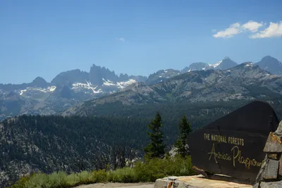 DSC_0262 (Large).JPG